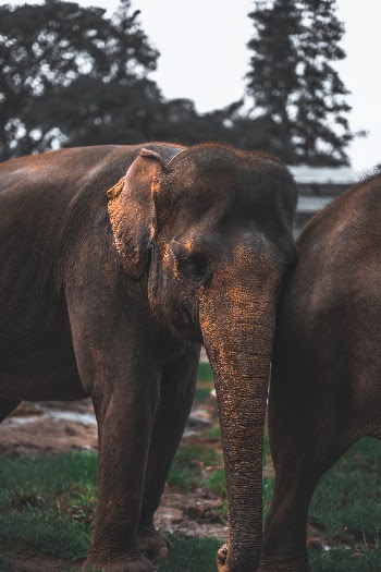 Unsplash ID pW-xgAxA6vM