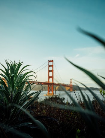 Unsplash ID PW8ChlBa7fo