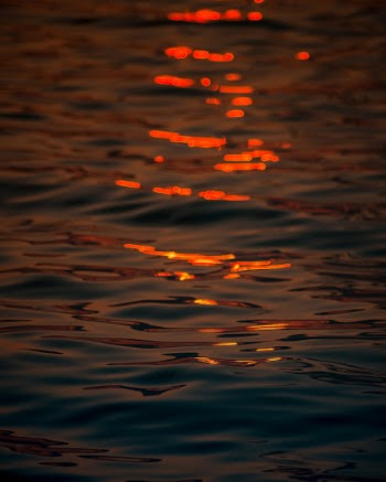 Unsplash ID PwCFHWmjoGg