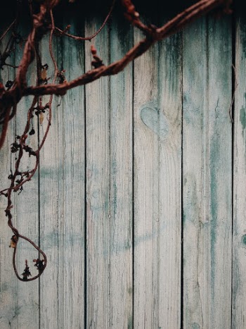 Unsplash ID -pWe4PMtmVE