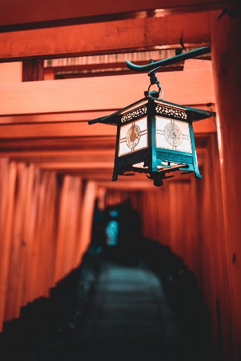 Unsplash ID PXlTuz40vtY