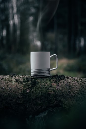 Unsplash ID PZ57Npp7iAw