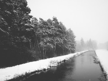 Unsplash ID PzbtMaENgBU