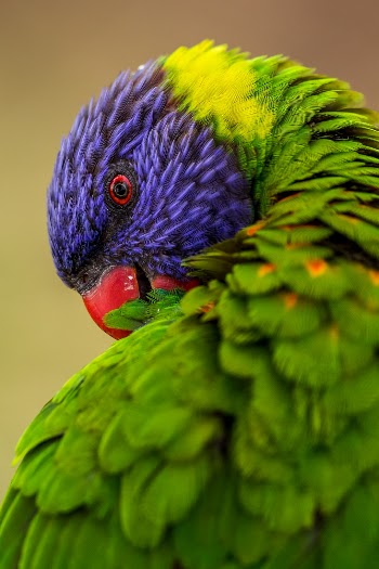 Unsplash ID PZWvAnFqO_M