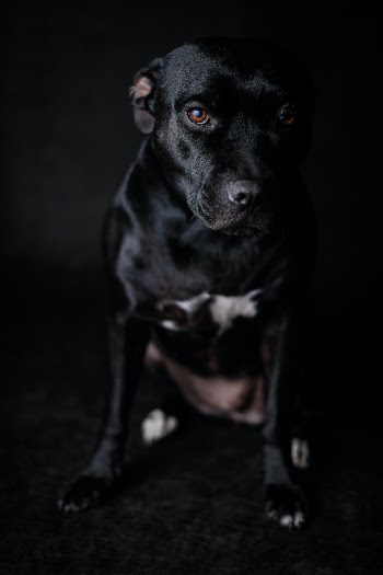 Unsplash ID q_4pIVaXPEk