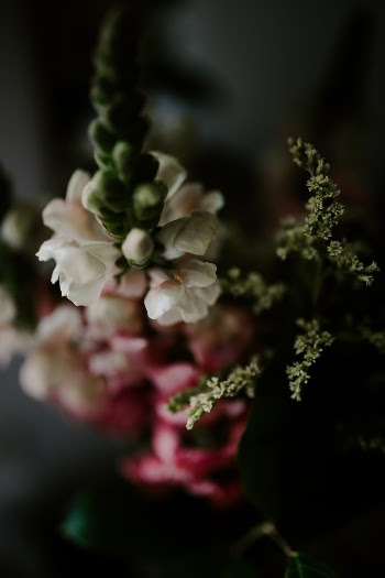 Unsplash ID Q_61tK0DS8Q