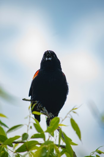 Unsplash ID q1hwLSfEgGA