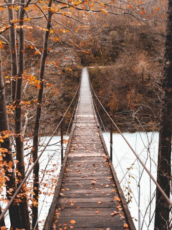 Unsplash ID q5G5QmWCEBM