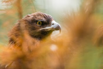Unsplash ID q5vaoltld30