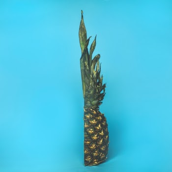 Unsplash ID q6bDQ6ZreGQ