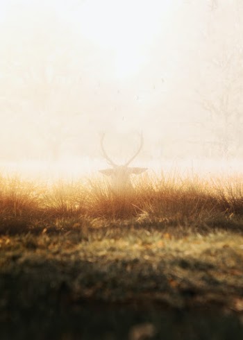 Unsplash ID q7_7K_gyyu0