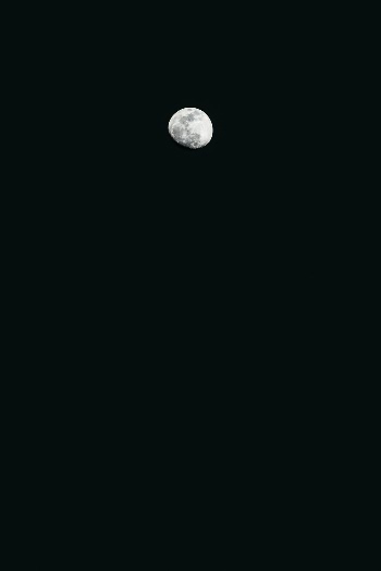 Unsplash ID q7ElJAi6ULU