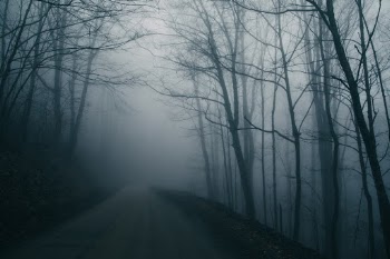 Unsplash ID qaBh11PzGOk