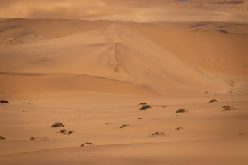 Unsplash ID QaktyoNJdG8