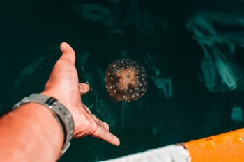 Unsplash ID qB2mBLCpSaM