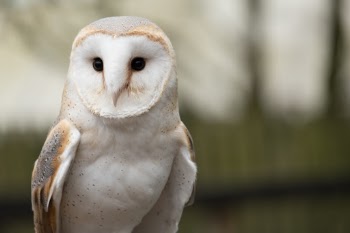 Unsplash ID qBpG1rXZLwg