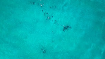Unsplash ID QC8niFuJN3A