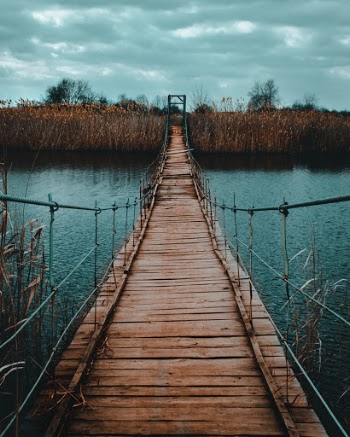 Unsplash ID qdYUuaRIX-M