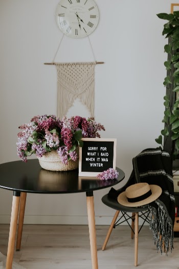 Unsplash ID QfqFetLKFcY