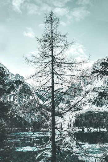 Unsplash ID qFzM6mL53s8