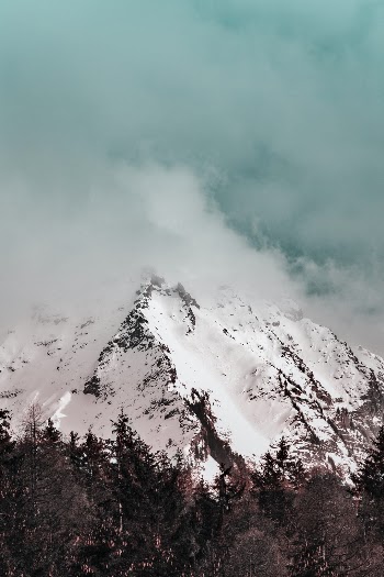 Unsplash ID _QgM68Be7sg