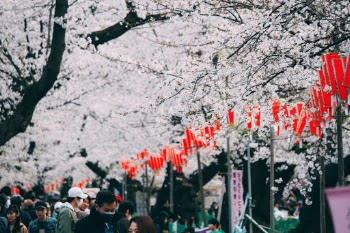 Unsplash ID QGMWr63tKoo