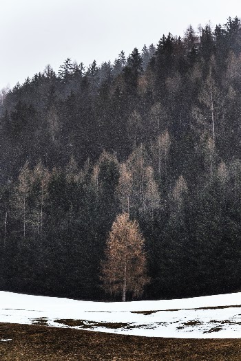 Unsplash ID Qgp5pN_NHhk
