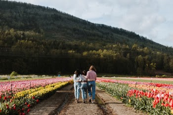 Unsplash ID QIYeUwvEixw