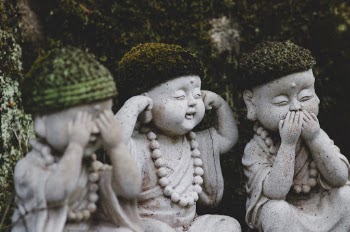 Unsplash ID qJs0uFz6urU