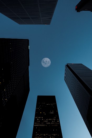 Unsplash ID QJU0jO3A3uQ