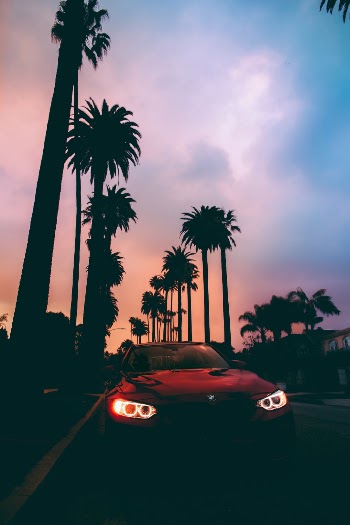 Unsplash ID Qk3mqkBuTdg