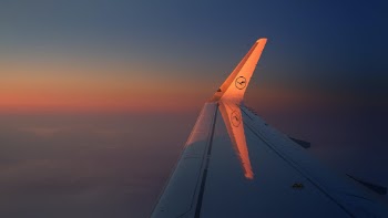 Unsplash ID qKj-rFRbrOU