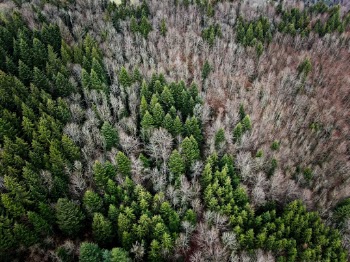 Unsplash ID qLi9OS1DvWw