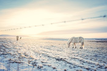 Unsplash ID qMSQZ6J0pSo
