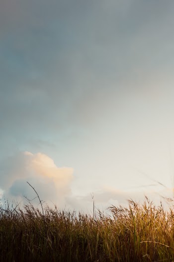Unsplash ID qPPWNeFVLFQ