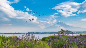 Unsplash ID Qrg3PKWK5nY