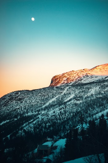 Unsplash ID qrWIF7LMevs