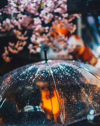Unsplash ID QSe8KLvzlzY