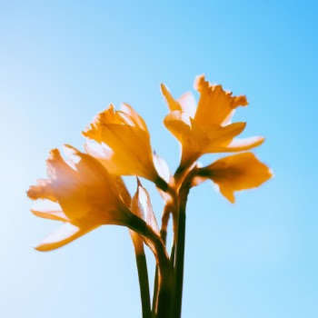 Unsplash ID qsgZMnf0Uyc