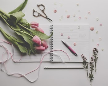 Unsplash ID QsXa3aYToVY