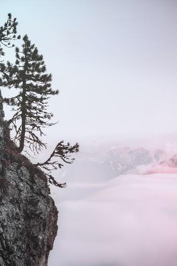 Unsplash ID qUpfUKGWefE