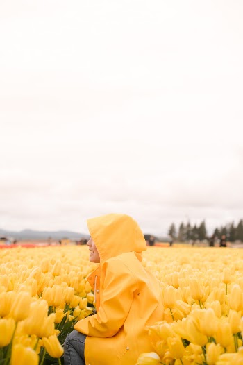 Unsplash ID qUX5rRT4dQc