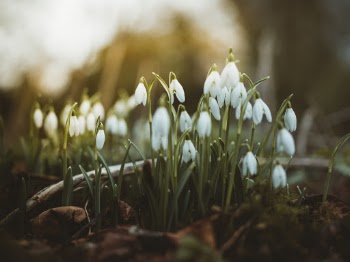 Unsplash ID qV16cq3T420