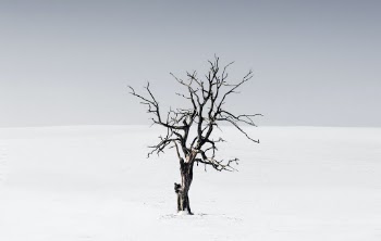Unsplash ID qV8VSz-zgkE