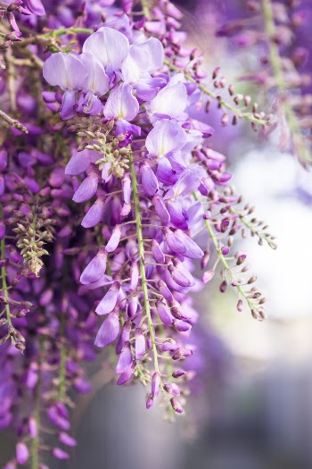 Unsplash ID qvXlhoEhJFw