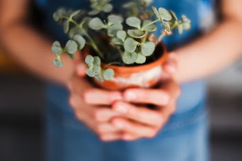 Unsplash ID qYVJWNvsH7Q