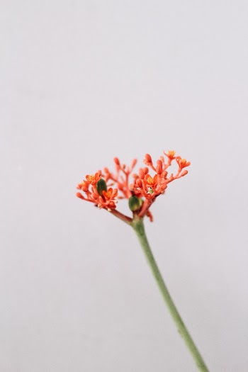 Unsplash ID r_Mbv9Ko448