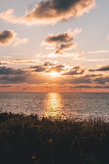 Unsplash ID R2g9Ap1Bn3Y