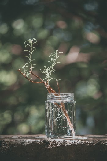 Unsplash ID r6DBW52RpGk