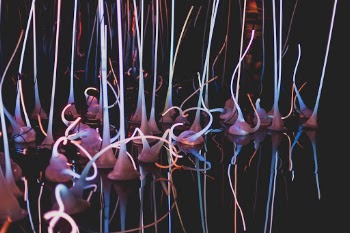 Unsplash ID R7aeK3f-ynM